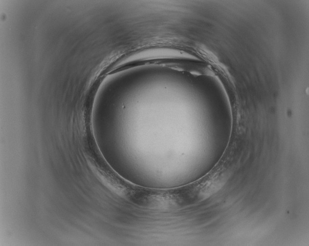 X0000074930250200609011058