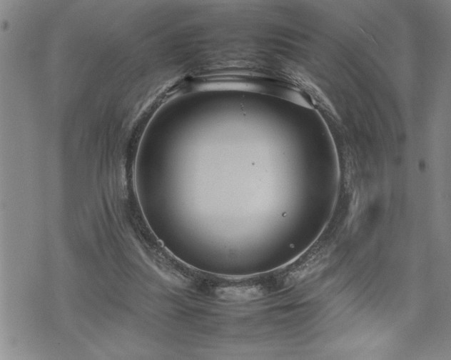 X0000074930251200609011058