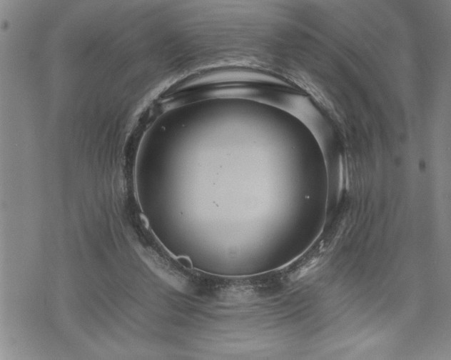 X0000074930252200609011058