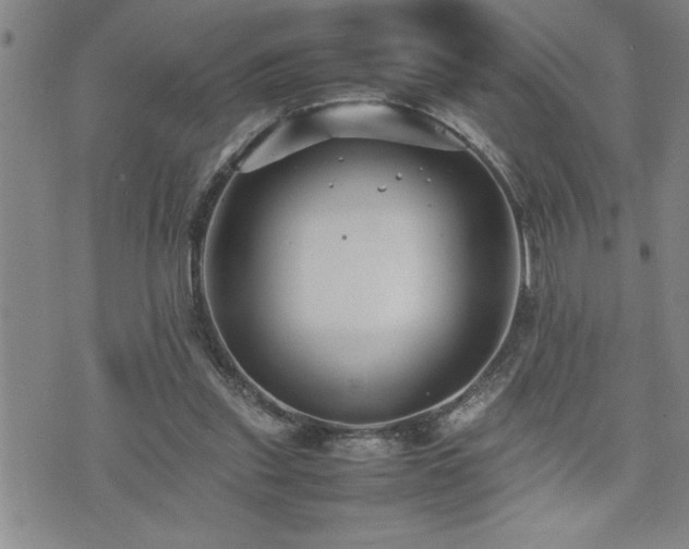 X0000074930253200609011058