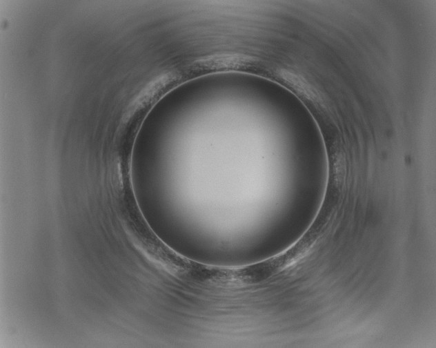 X0000074930254200609011058