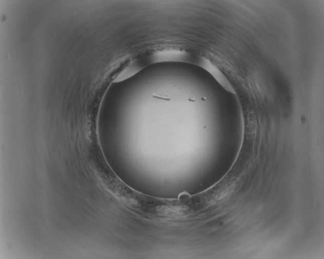 X0000074930255200609011058