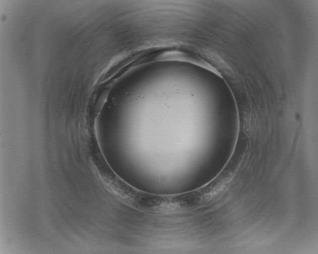 X0000074930256200609011058