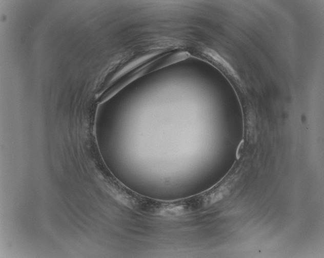 X0000074930257200609011058