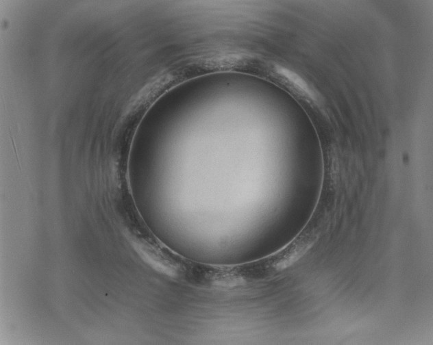 X0000074930258200609011058