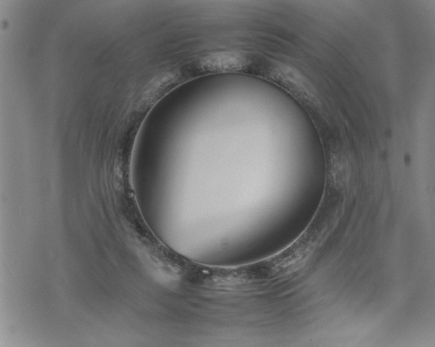 X0000074930259200609011058