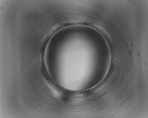 X0000074930260200609011058