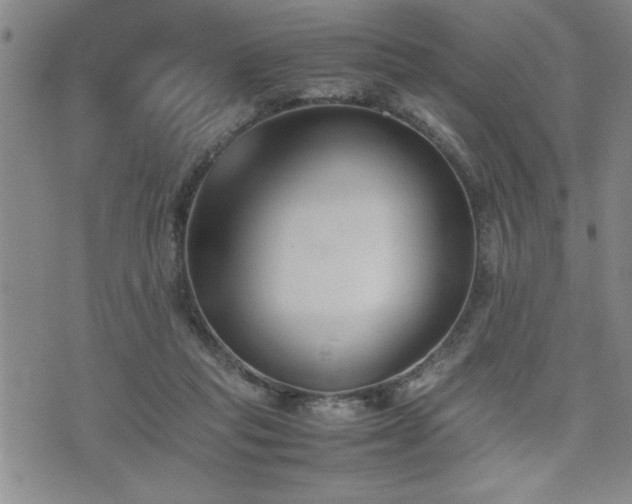 X0000074930261200609011058