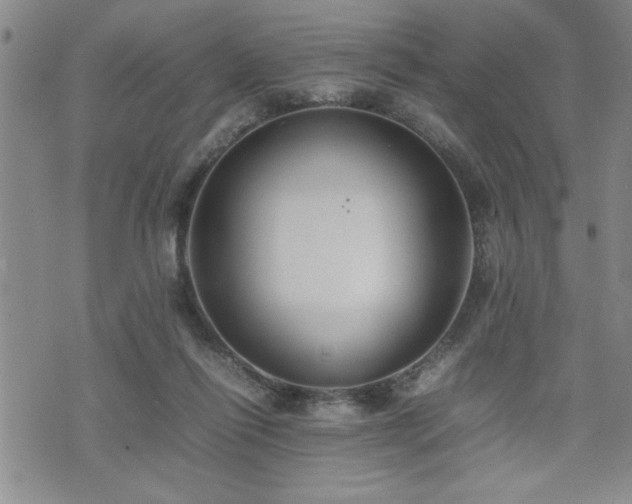 X0000074930262200609011058