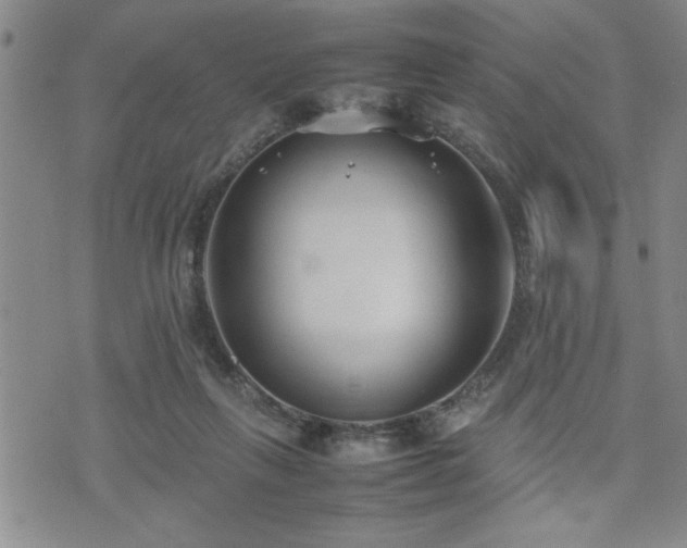 X0000074930263200609011058