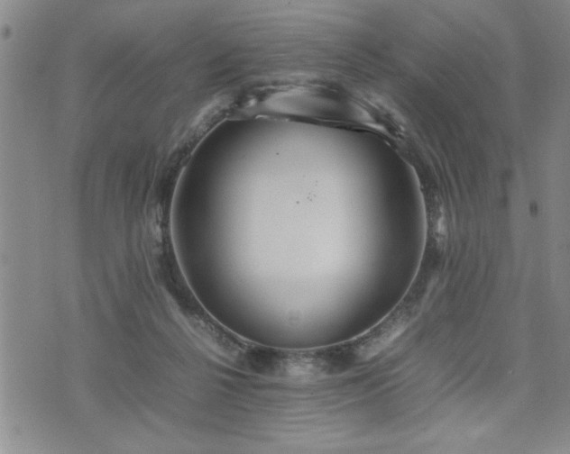 X0000074930264200609011058