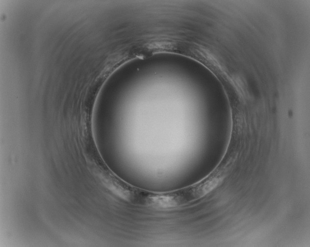 X0000074930265200609011058