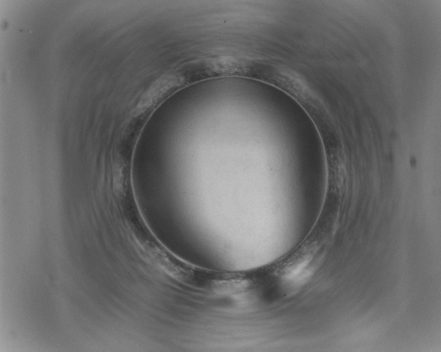 X0000074930266200609011058