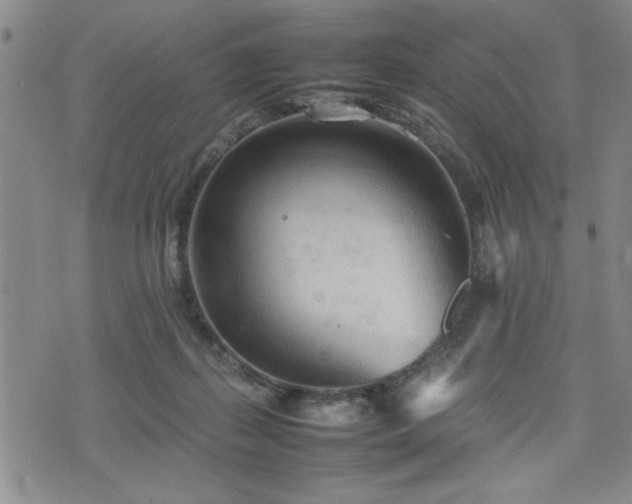 X0000074930267200609011058