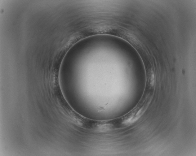 X0000074930268200609011058