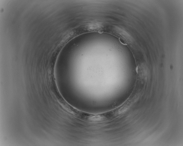 X0000074930269200609011058