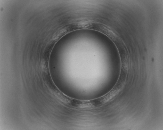 X0000074930270200609011058