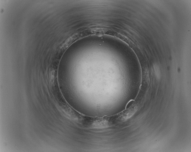 X0000074930271200609011058