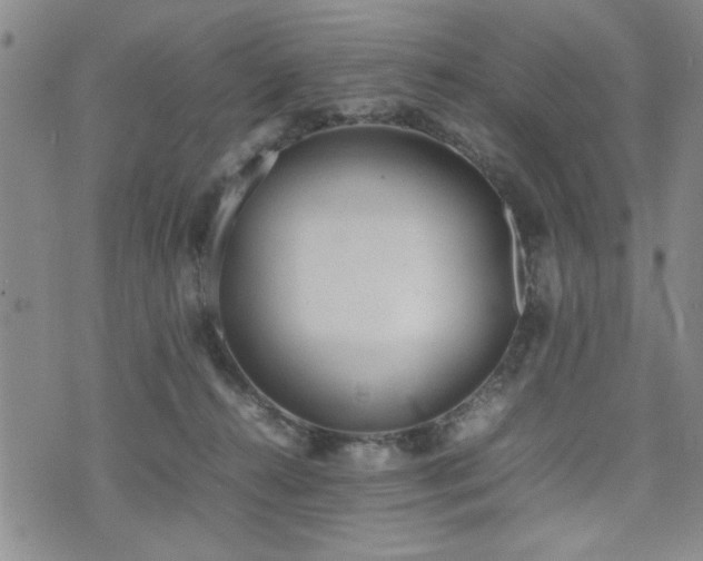 X0000074930272200609011058