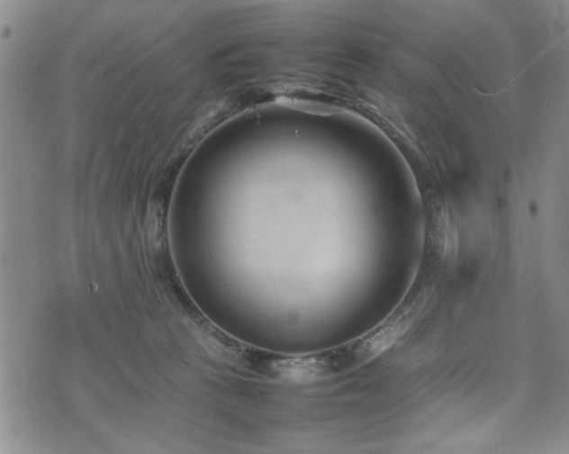 X0000074930273200609011058