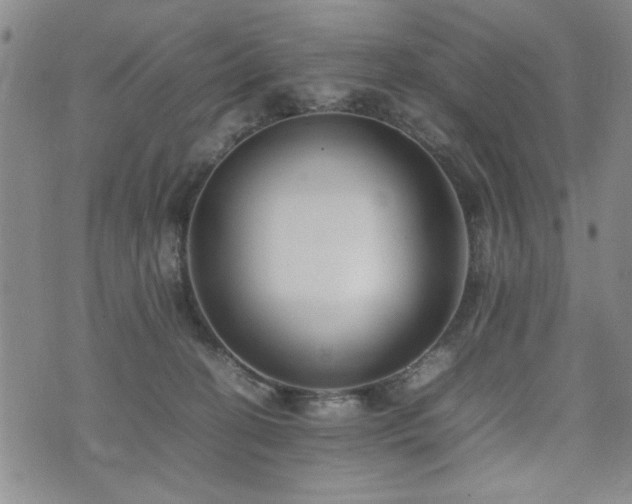 X0000074930274200609011058