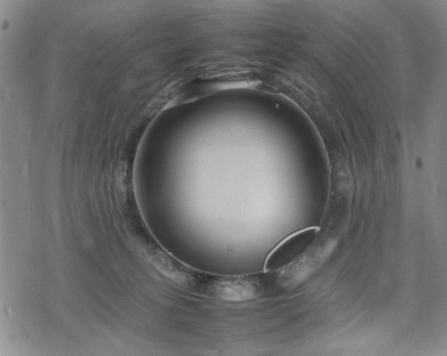 X0000074930275200609011058