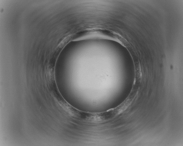 X0000074930276200609011058