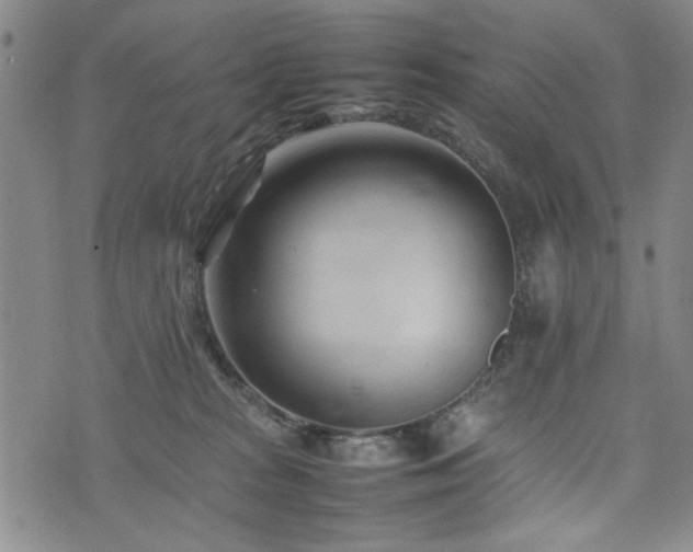 X0000074930277200609011058