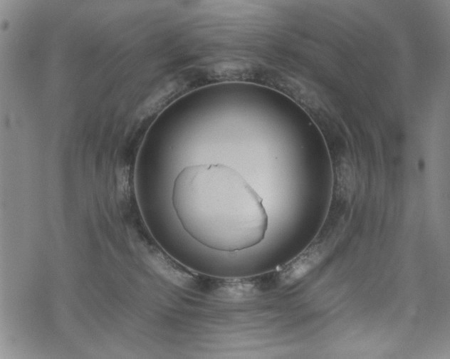 X0000074930278200609011058