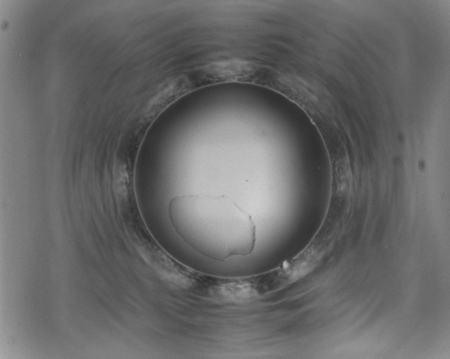 X0000074930279200609011058