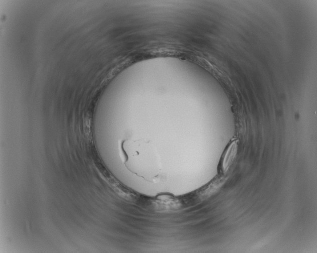 X0000074930281200609011058