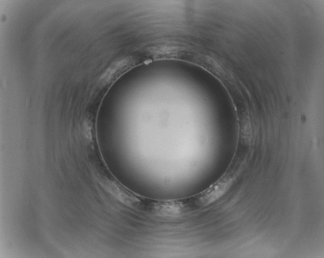 X0000074930282200609011058