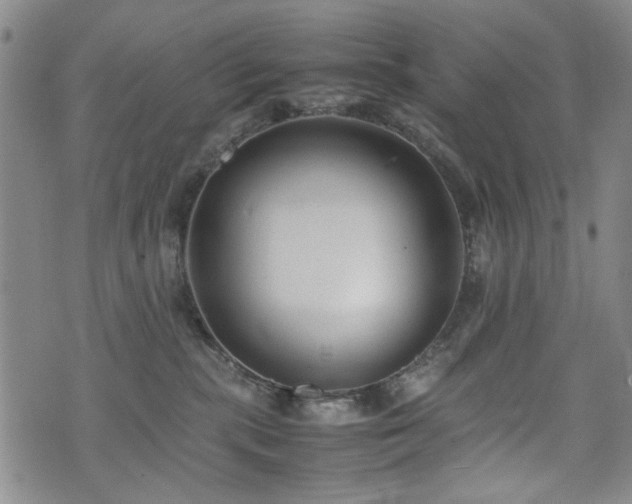 X0000074930283200609011058