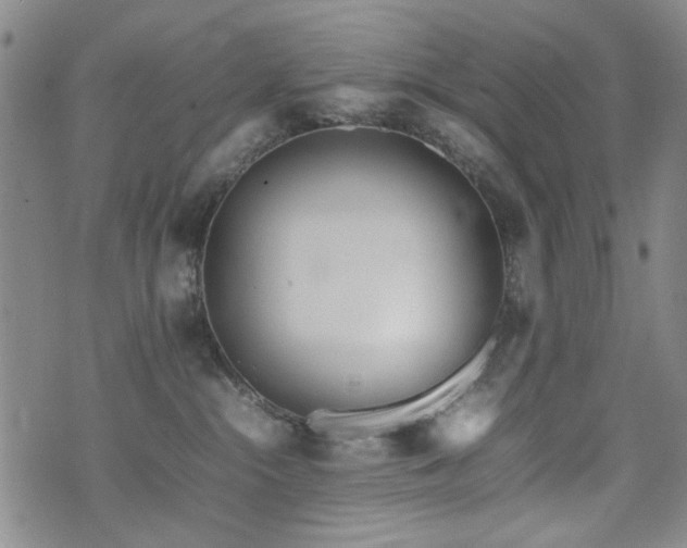 X0000074930284200609011058