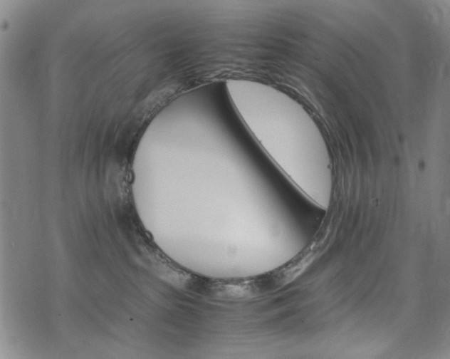 X0000074930285200609011058