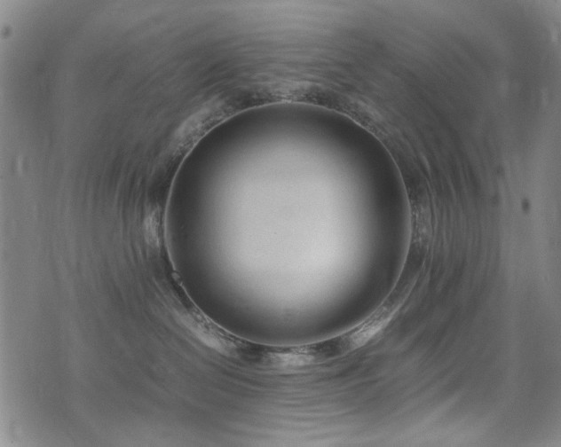 X0000074930286200609011058