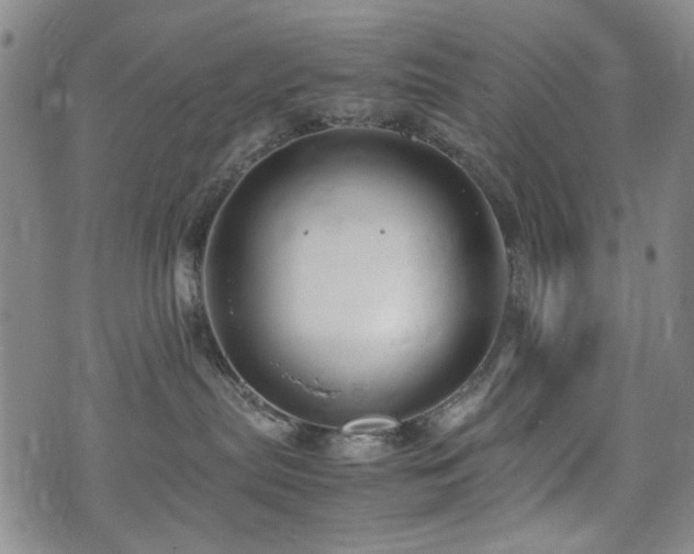 X0000074930287200609011058