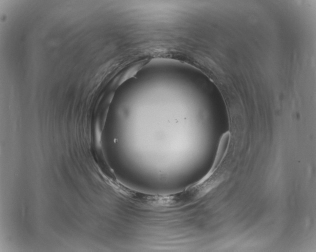 X0000074930288200609011058