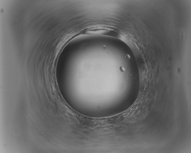 X0000074930289200609011057