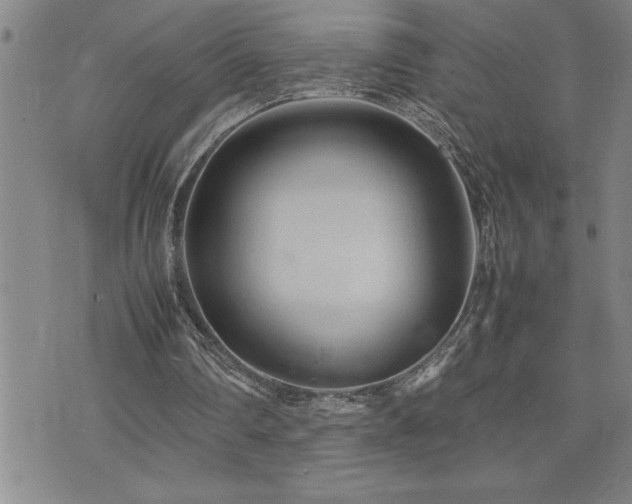 X0000074930290200609011057