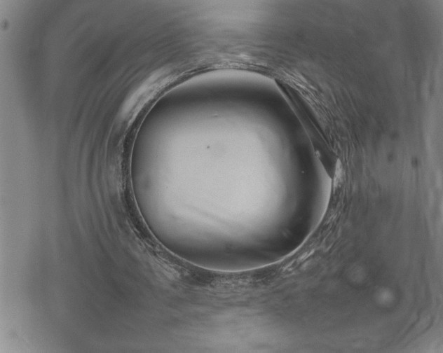 X0000074930291200609011057