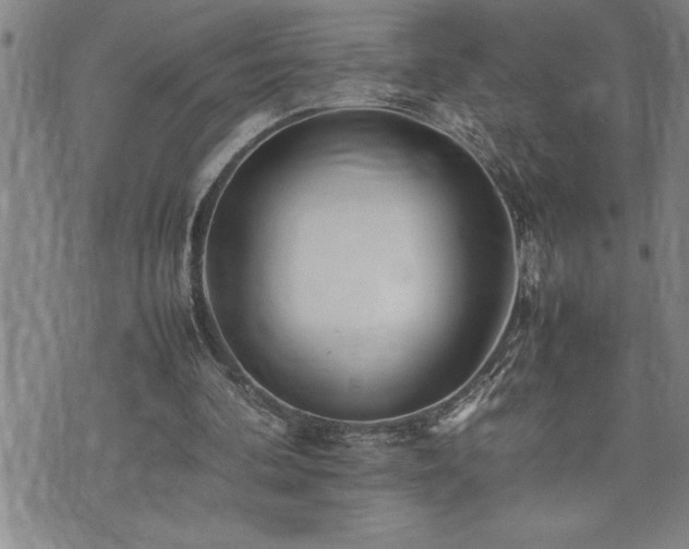 X0000074930292200609011057