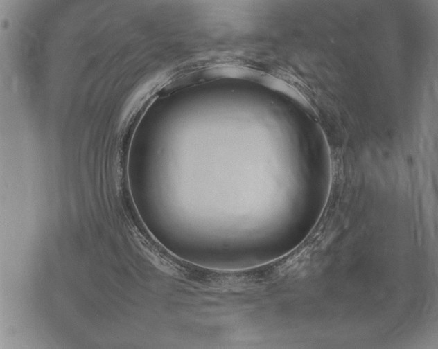 X0000074930293200609011057