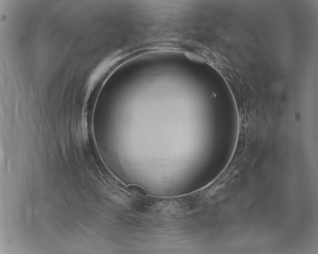 X0000074930294200609011057