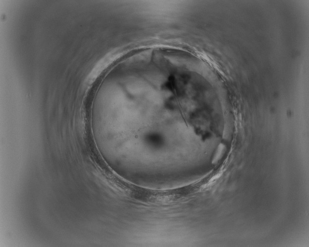 X0000074930295200609011057