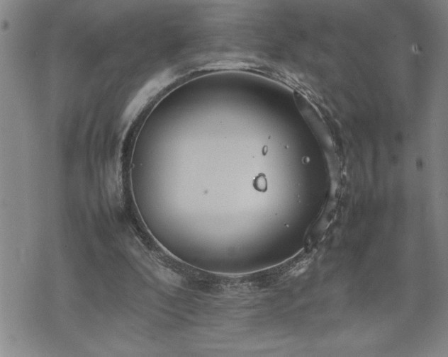 X0000074930296200609011057