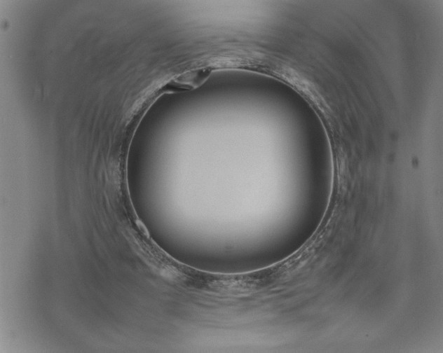 X0000074930297200609011057