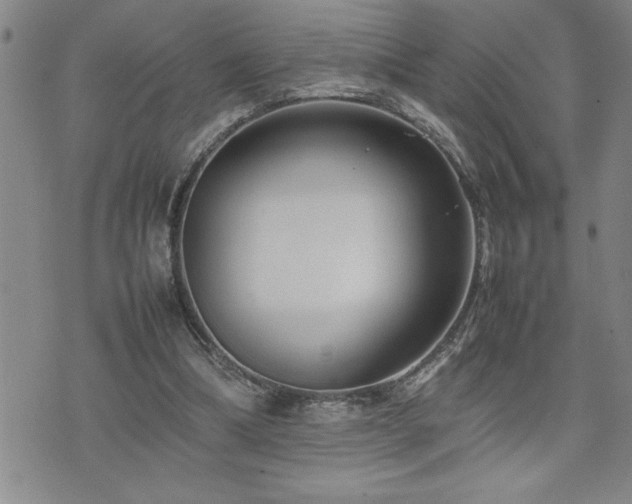 X0000074930298200609011057