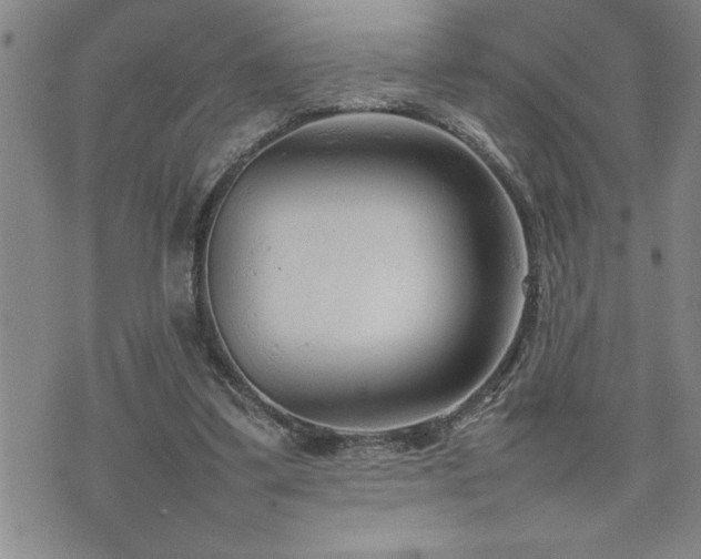 X0000074930299200609011057