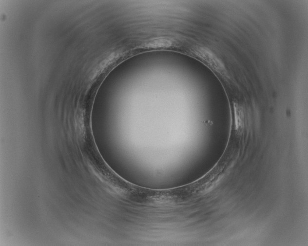 X0000074930300200609011057